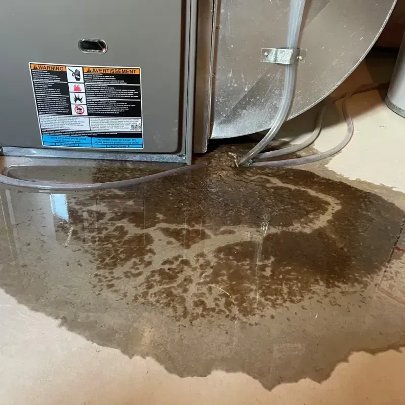 Appliance Leak Cleanup in Fayetteville, AR